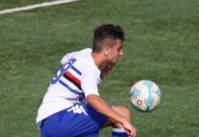 ANTEPRIMA. Quasi fatta per Ferdinando Fogliamanzillo