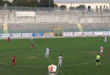 Vibonese-Savoia 1-1: Meloni riacciuffa la Vibonese.