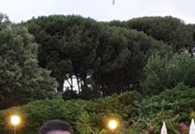 Mazzamauro:” Stiamo lavorando per allestire una grande squadra”